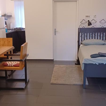 Studio Apartman Ada サモボル エクステリア 写真