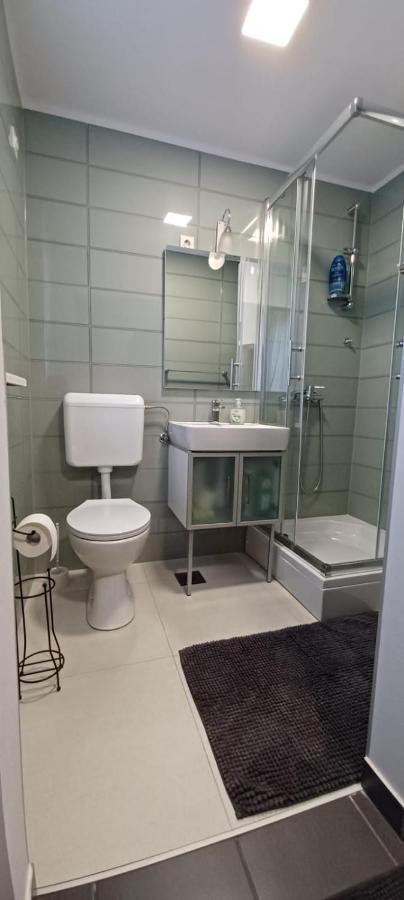 Studio Apartman Ada サモボル エクステリア 写真