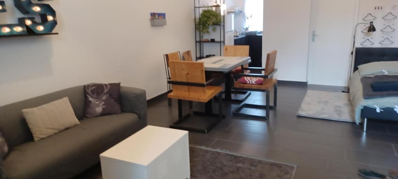 Studio Apartman Ada サモボル エクステリア 写真
